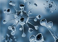 esball体内体表药效试验顺利通过药监局审查