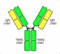 中国科研工作者匹敌体试剂问题的反思