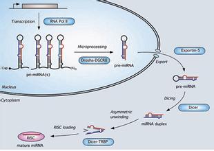 esball(中国区)官方网站