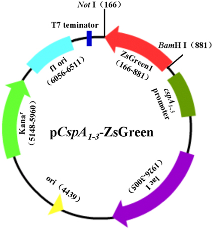 esball(中国区)官方网站