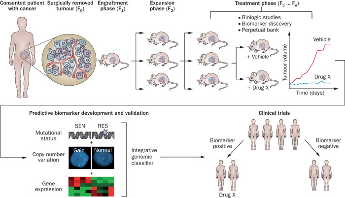 esball(中国区)官方网站