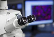 改委监控三类药价，成本价调查将启动