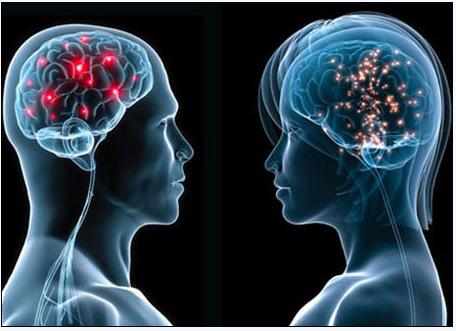 5月2号，医药经济报上颁发了关于陈春麟博士的报路——CRO的中国式崛起蹊径