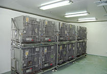 esball(中国区)官方网站