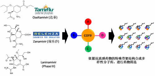 图2：以现有抗流感药物的结构为基础，进行多样性药物分子库的合成。