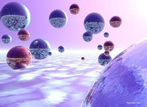 1月6号,esball员工一路欢度2011年会