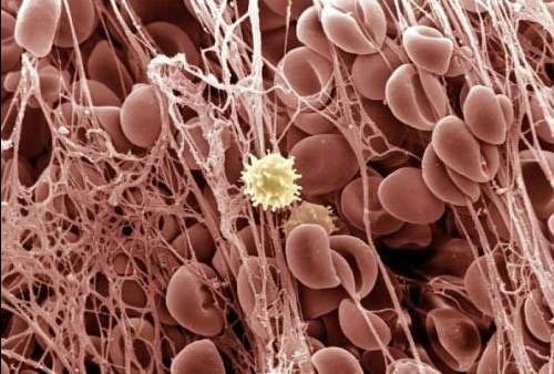 esball(中国区)官方网站