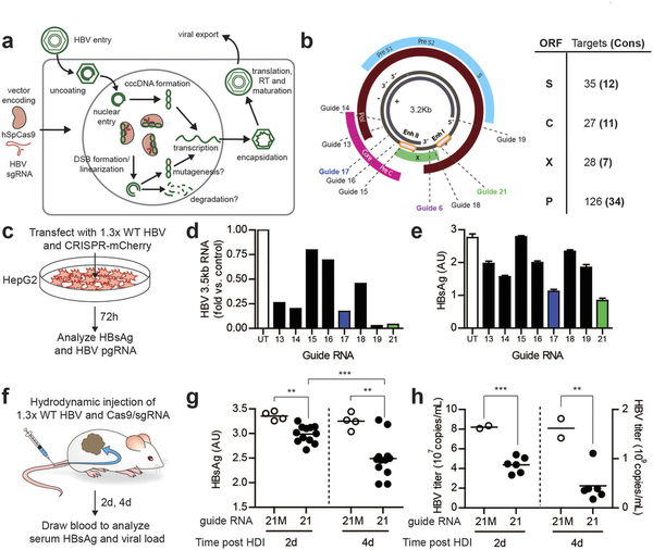 esball(中国区)官方网站