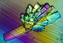 PD-1抑造剂成“抗癌神器”，国内表企业进展若何？