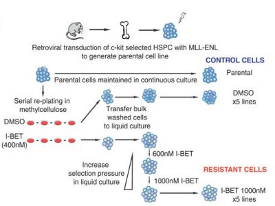 esball(中国区)官方网站
