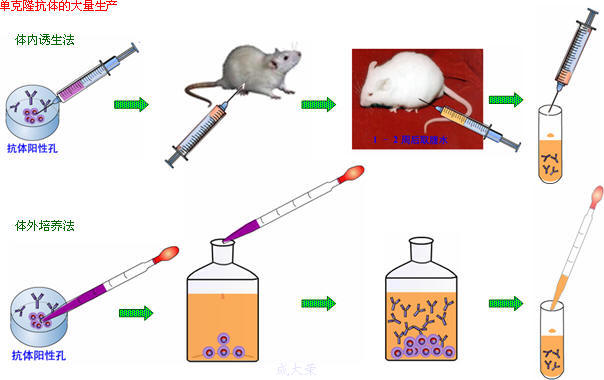 esball(中国区)官方网站