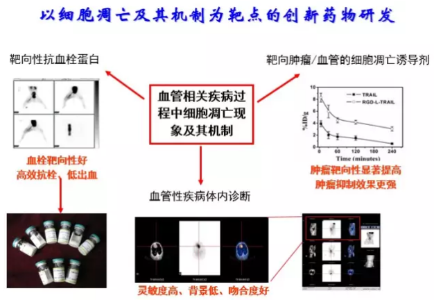 esball(中国区)官方网站