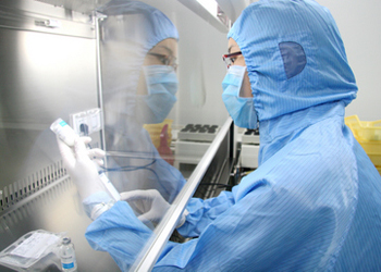 esball(中国区)官方网站