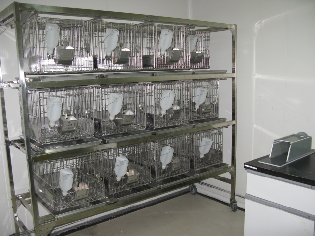 esball普亚新动物房通过上海动管会验收