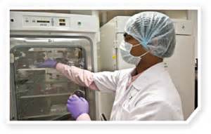 新版药品GMP大限，最后15天！只能等死？？