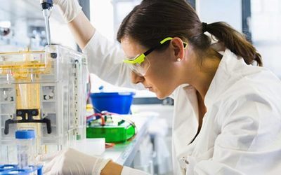 esball人类疾病动物模型