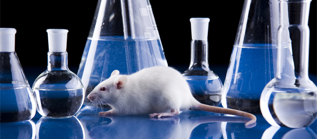 esball(中国区)官方网站