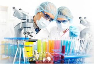 esball(中国区)官方网站