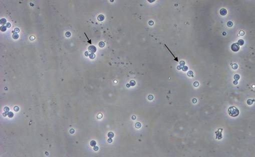 esball(中国区)官方网站