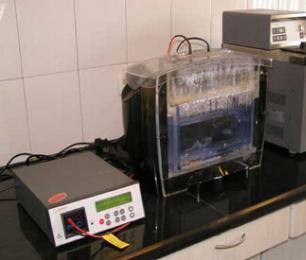 esball(中国区)官方网站