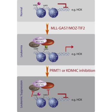 esball(中国区)官方网站