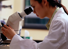 esball(中国区)官方网站