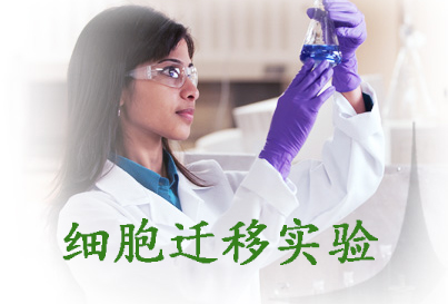 细胞迁徙尝试服务