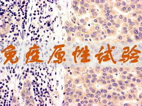 esball免疫原性试验服务