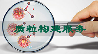 esball质粒构建服务