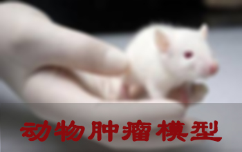 esball肿瘤模型成立服务