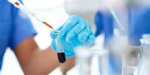 esball(中国区)官方网站