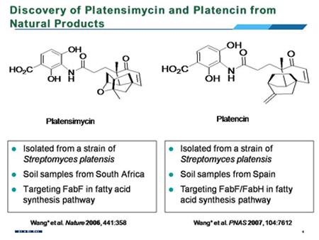 esball(中国区)官方网站