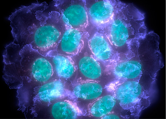 esball(中国区)官方网站