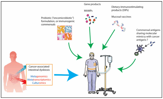 esball(中国区)官方网站