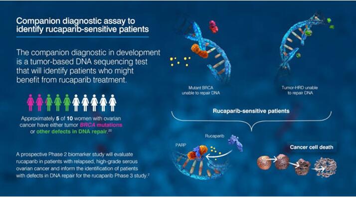esball(中国区)官方网站