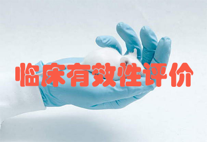 esball(中国区)官方网站