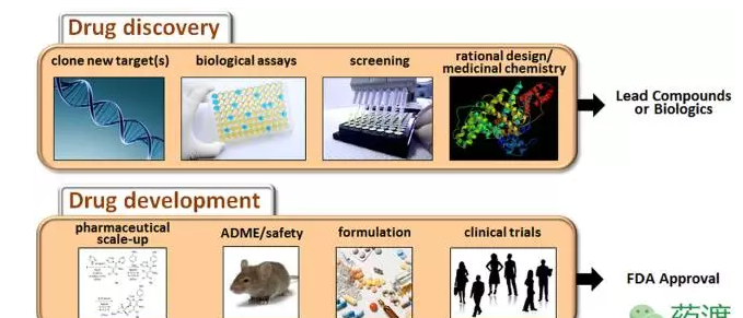 esball(中国区)官方网站