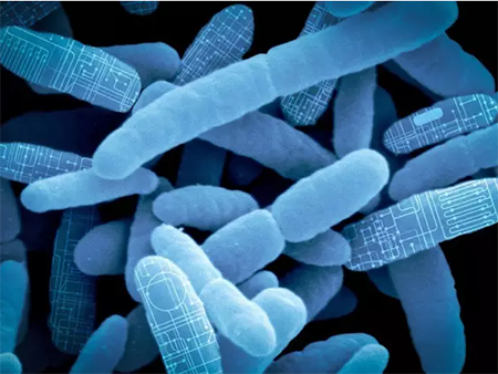 esball(中国区)官方网站