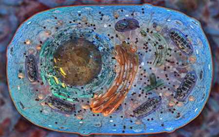 esball(中国区)官方网站