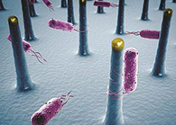 将来的药丸里，可能有一万亿幼我工刷新的细菌？