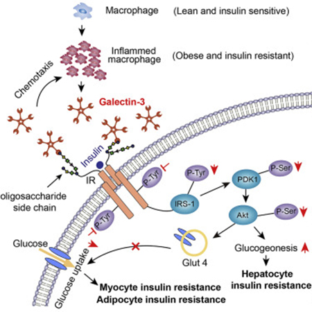 esball(中国区)官方网站