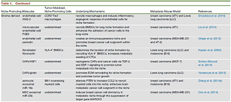 esball(中国区)官方网站