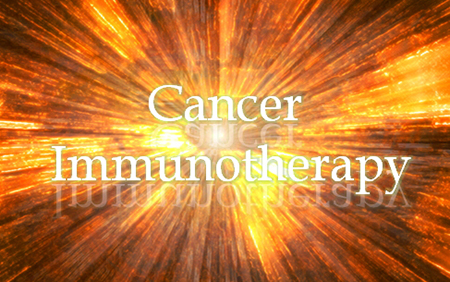 esball(中国区)官方网站