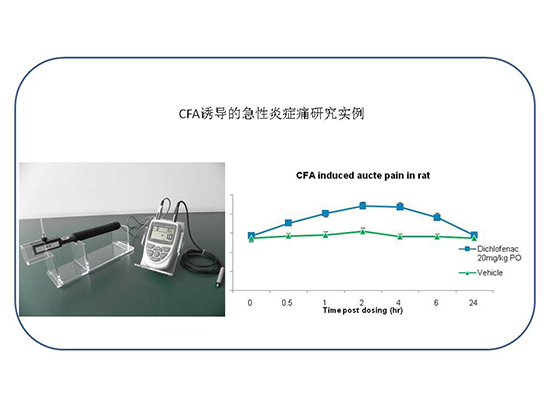esball(中国区)官方网站