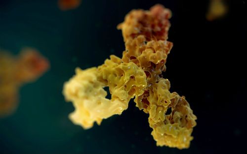 esball(中国区)官方网站