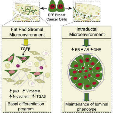 esball(中国区)官方网站