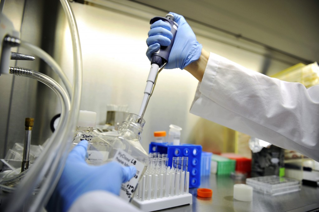 一致性评价必要遵循哪些技术领导准则以及技术要求？