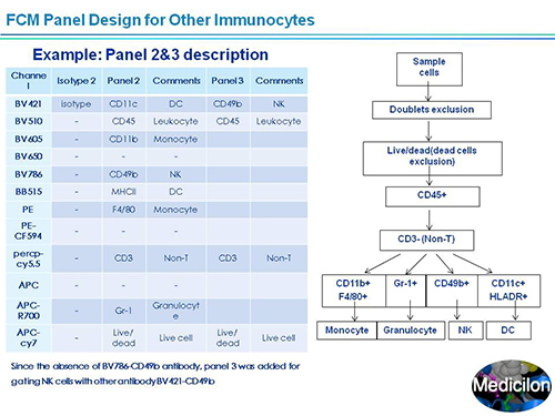esball副总裁汪俊博士SAPA-DC会议演讲PPT