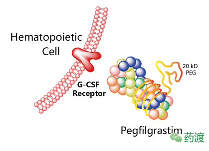 esball(中国区)官方网站