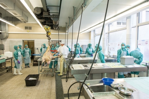 专利绝壁到来，骨质疏松症药物新药研发战况若何？